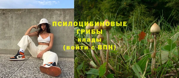 амф Абинск