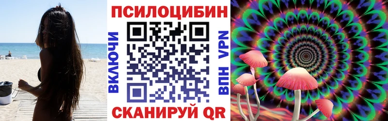 Псилоцибиновые грибы MAGIC MUSHROOMS  Александровск-Сахалинский 