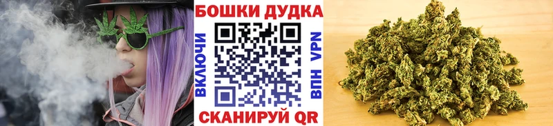 Каннабис сатива  Александровск-Сахалинский 